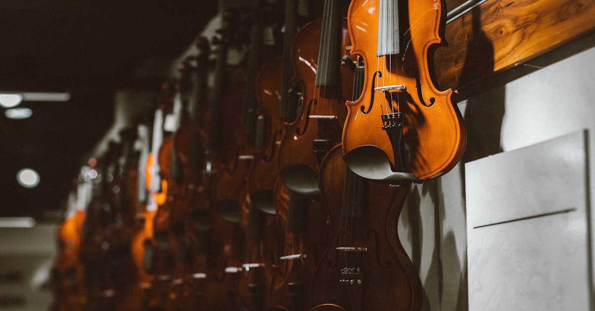 découvrez le métier de luthier : artisan spécialisé dans la fabrication, la réparation et l’entretien d’instruments à cordes. apprenez-en plus sur son savoir-faire, son rôle essentiel dans la musique et les étapes de création d’un instrument unique.