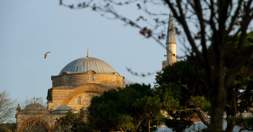 Comprendre le numéro Siret d’une association : informations essentielles découvrez tout ce qu'il faut savoir sur le numéro siret : définition, utilité, démarches d'obtention et vérification pour les entreprises et auto-entrepreneurs en france.