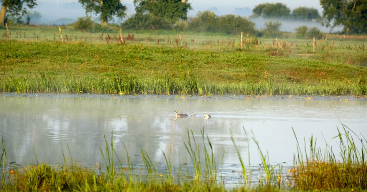 découvrez les compétences essentielles et les conseils d'un instructeur de natation pour apprendre à nager en toute sécurité, progresser rapidement et prendre confiance dans l'eau, quel que soit votre âge ou votre niveau.