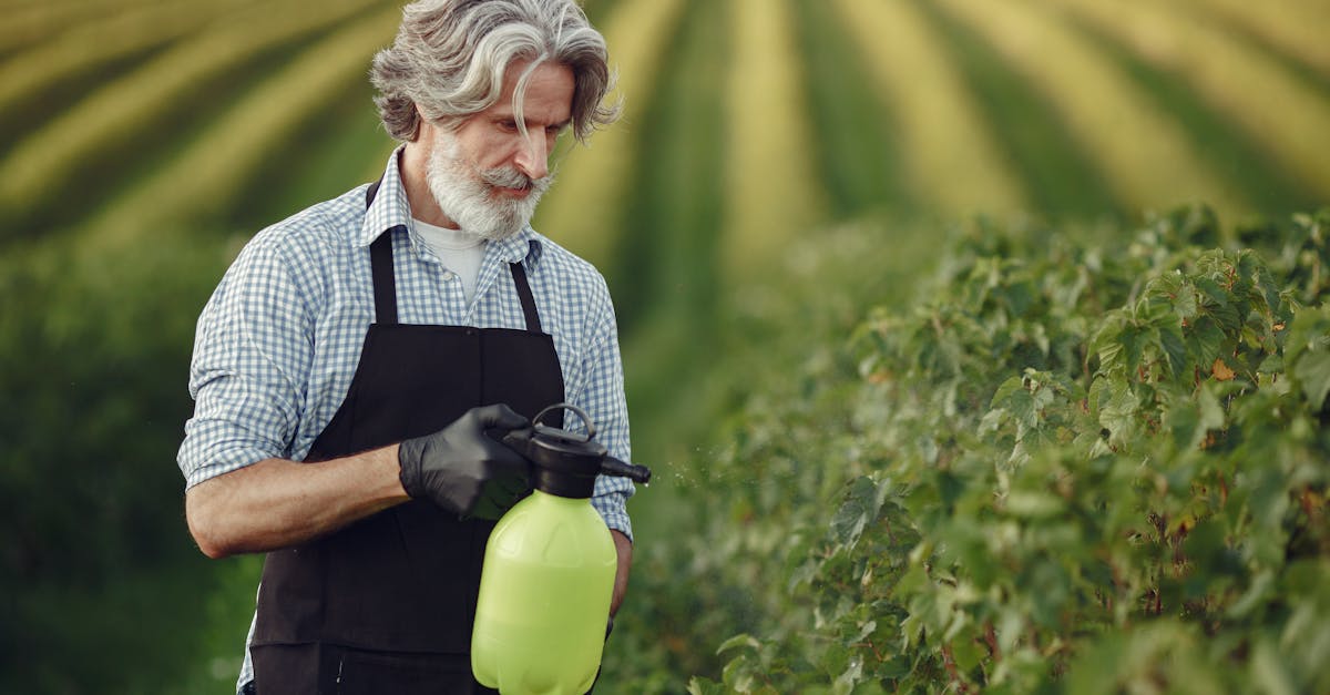 découvrez le rôle clé de l'agronome dans l'amélioration des pratiques agricoles, la gestion durable des ressources et l'innovation pour une agriculture responsable et productive.
