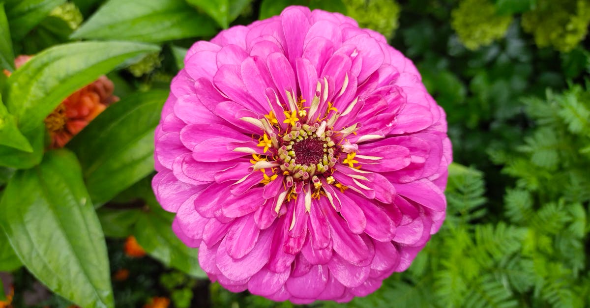 découvrez l'annualisation : une méthode de gestion du temps de travail permettant d'adapter la répartition des heures sur l'année, optimisant ainsi la flexibilité et l'organisation en entreprise.