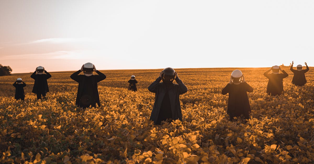découvrez le monde fascinant des astronautes, leurs missions spatiales, leurs entraînements et les avancées scientifiques dans l'exploration de l'univers.