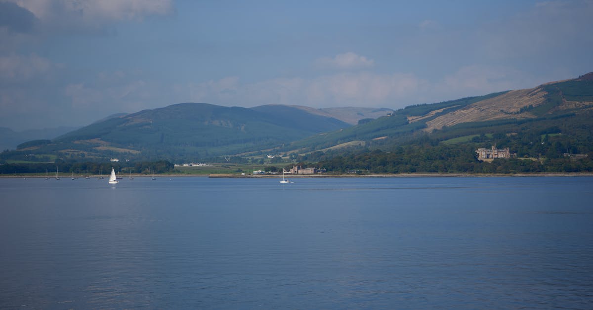 découvrez comment effectuer une réconciliation bancaire efficace pour garantir l'exactitude de vos comptes financiers et prévenir les erreurs.