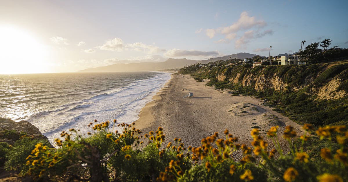 découvrez comment la réconciliation bancaire permet de comparer et d'ajuster les relevés bancaires avec les enregistrements comptables pour assurer une gestion financière précise et éviter les erreurs.