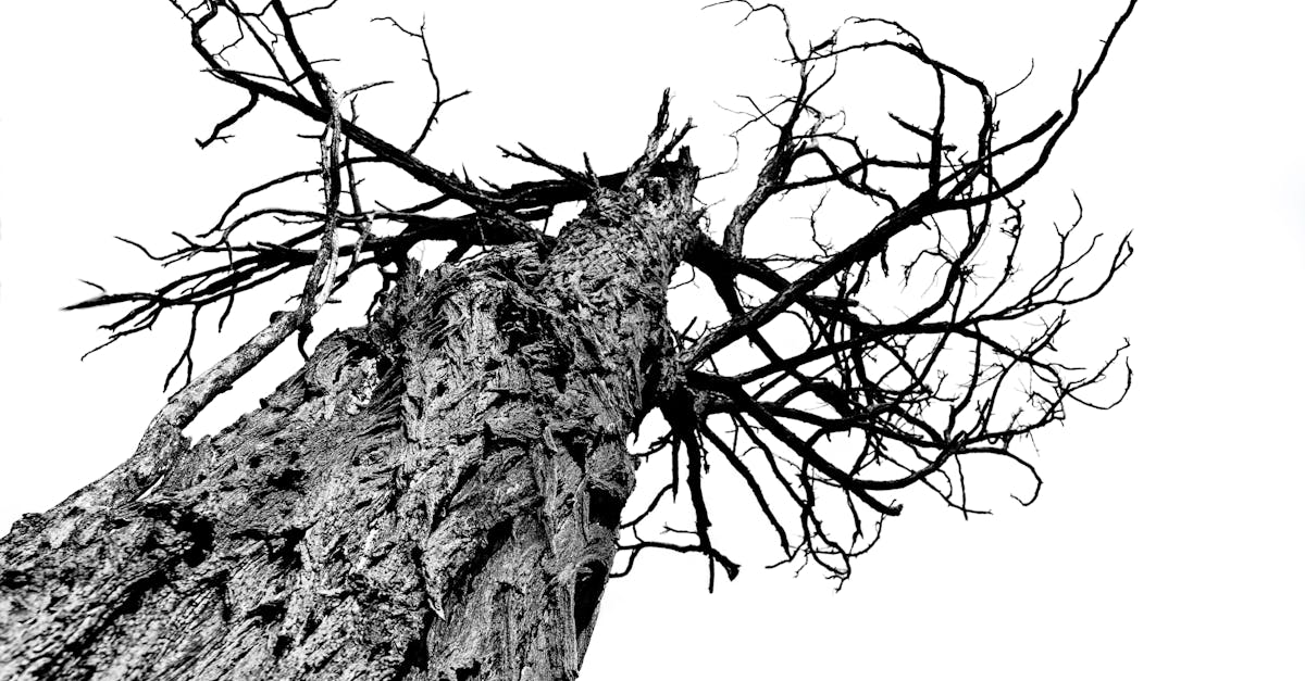 découvrez la bare ownership, une solution d'investissement immobilier qui permet d’acquérir un bien à prix réduit tout en anticipant la pleine propriété. idéal pour préparer l’avenir et diversifier son patrimoine en toute sécurité.