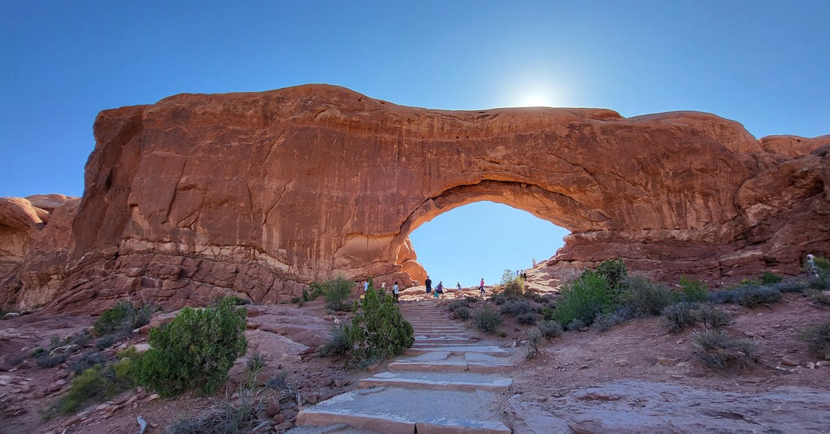 découvrez les étapes essentielles pour devenir chauffeur bolt et réussir votre inscription rapidement.