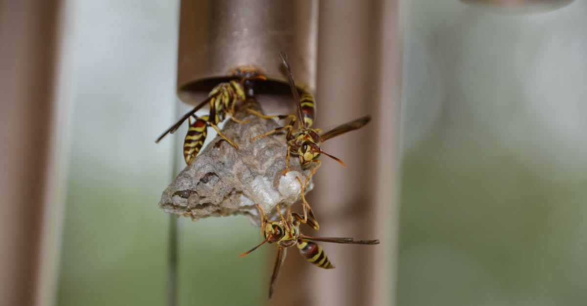 expert en économie de la construction, offrant des analyses précises, des estimations de coûts et des conseils financiers pour optimiser vos projets de construction.