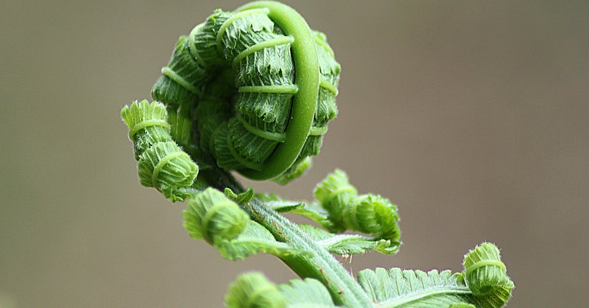 découvrez ce qu'est le chômage cyclique, ses causes liées aux fluctuations économiques et son impact sur le marché de l'emploi.