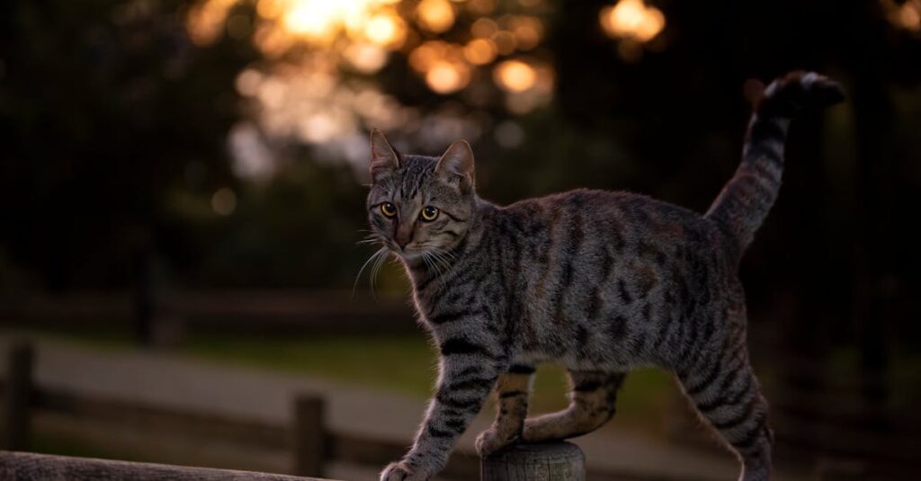 Comprendre le mécanisme de l’amortissement dégressif découvrez la méthode d'amortissement dégressif, une technique comptable qui permet de calculer la dépréciation d'un actif en appliquant un taux constant sur la valeur résiduelle décroissante, optimisant ainsi la gestion fiscale et financière de votre entreprise.