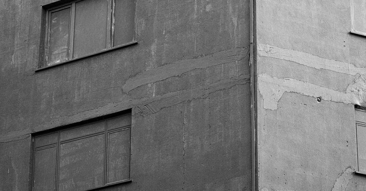 découvrez l'art mural unique avec notre artiste spécialisé en façades, transformant les murs en véritables œuvres d'art.