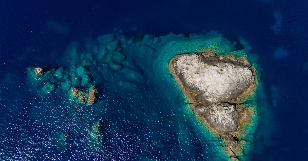 découvrez les classes inpi 2025 pour protéger efficacement vos inventions et créations. guide complet des classifications et démarches.