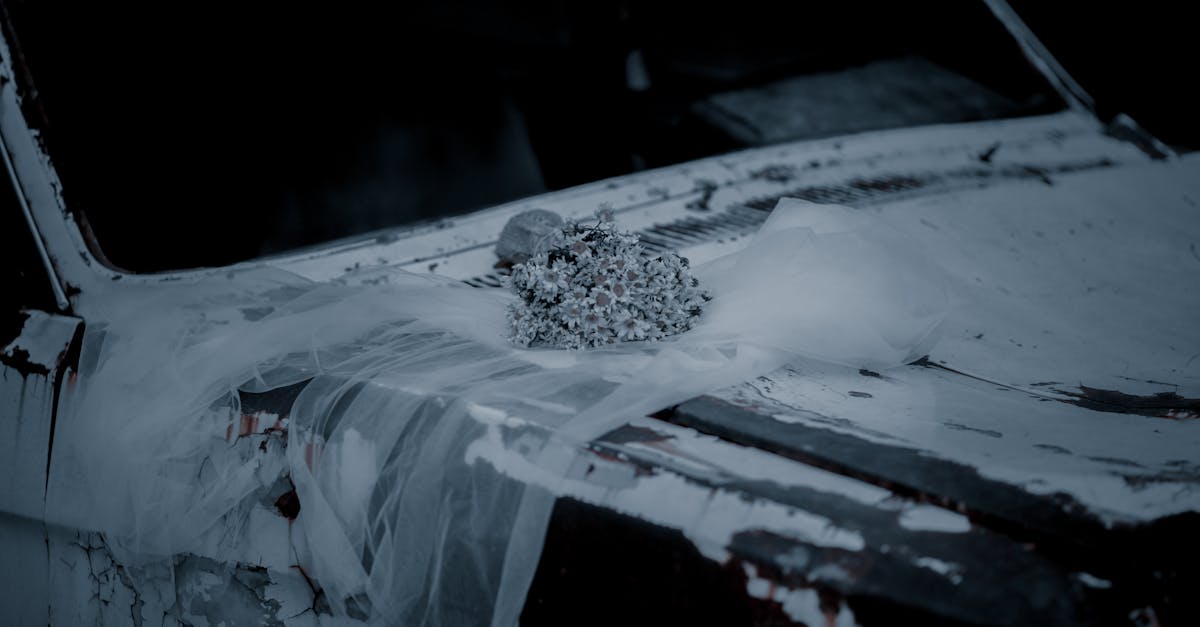 comment récupérer l'immatriculation d'un véhicule perdu : démarches, documents nécessaires et conseils pratiques pour retrouver rapidement votre certificat d'immatriculation.