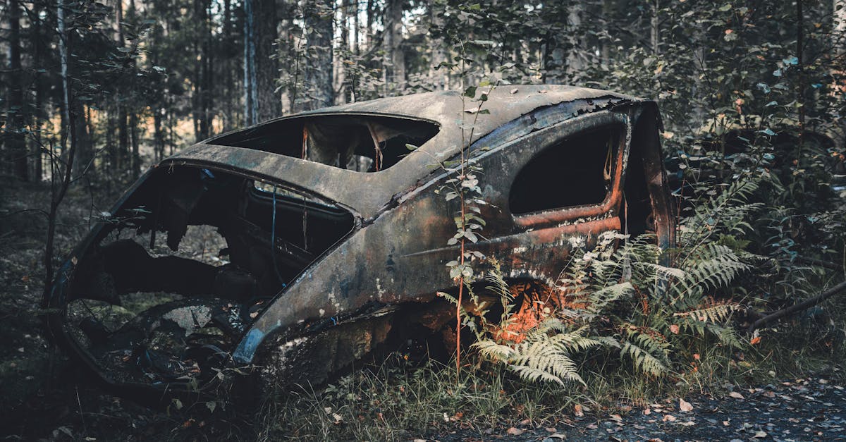 retrouvez rapidement les démarches pour déclarer ou récupérer l'immatriculation de votre véhicule perdu ou volé. guide complet et conseils pratiques.