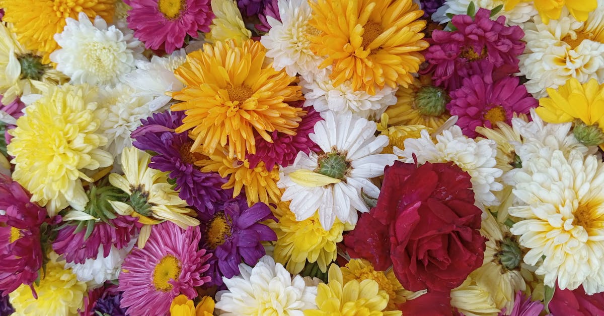 découvrez tout sur le marketing mix : les 4p essentiels (produit, prix, place, promotion) pour élaborer une stratégie marketing efficace et booster votre entreprise.