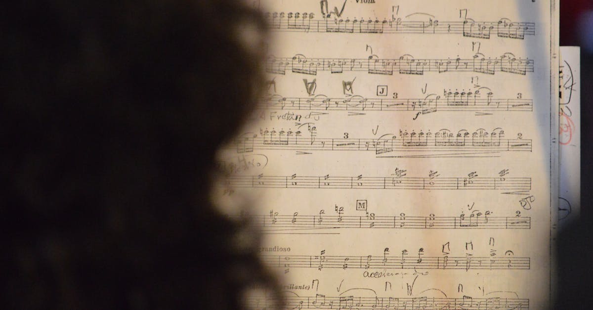 profitez de cours de musique personnalisés avec un professeur expérimenté pour tous niveaux et tous âges. apprenez à jouer d'un instrument ou à améliorer votre chant dans une ambiance conviviale.