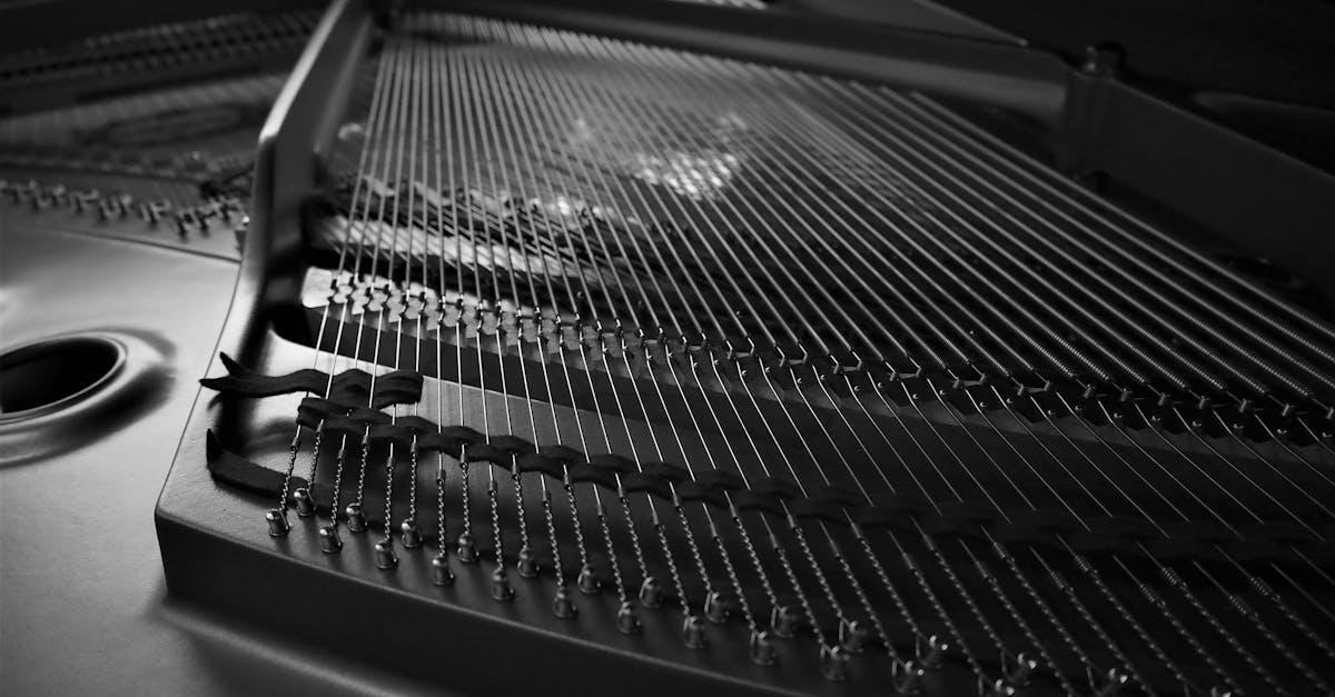 découvrez l'art des fabricants d'instruments de musique, alliant savoir-faire traditionnel et innovation pour créer des instruments uniques et de qualité.