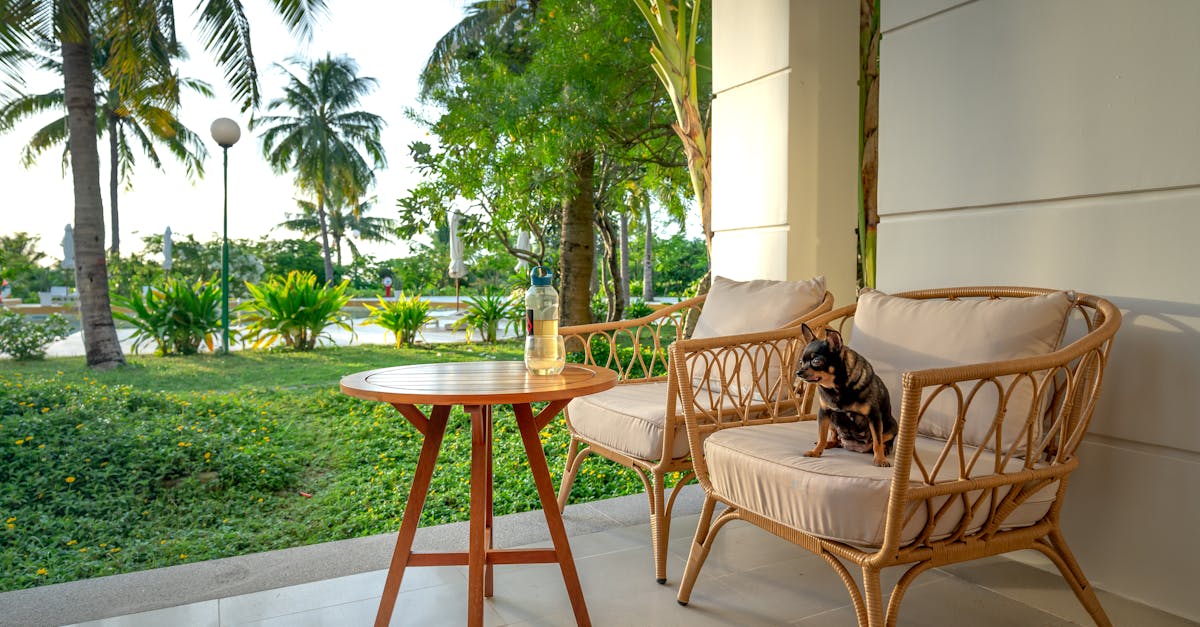 découvrez les clés du succès en tant que pet sitter : conseils pratiques, astuces et meilleures stratégies pour prendre soin des animaux et développer votre activité avec passion.