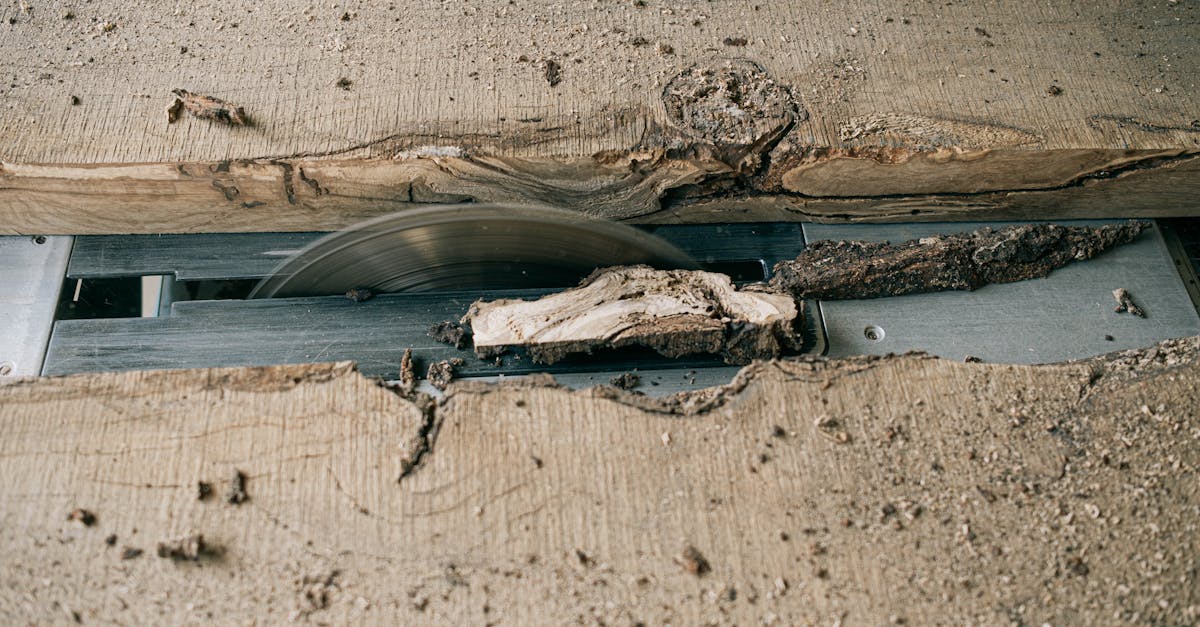 découvrez le rôle clé d'un producteur dans la création et la gestion de projets artistiques, audiovisuels ou événementiels, garantissant la qualité et le succès.