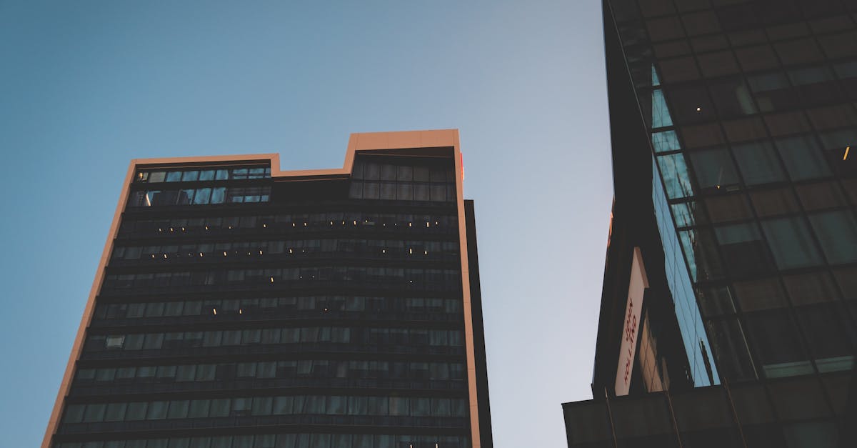 inspecteur des finances publiques : expert chargé de contrôler la gestion des fonds publics, garantir la transparence et l'efficacité des dépenses publiques.