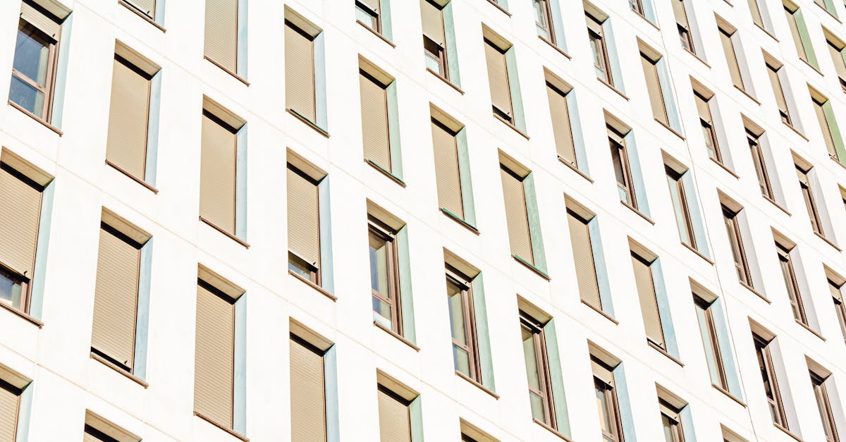 inspecteur des finances publiques : expert chargé de contrôler et d'évaluer la gestion financière des organismes publics pour assurer transparence et efficacité.