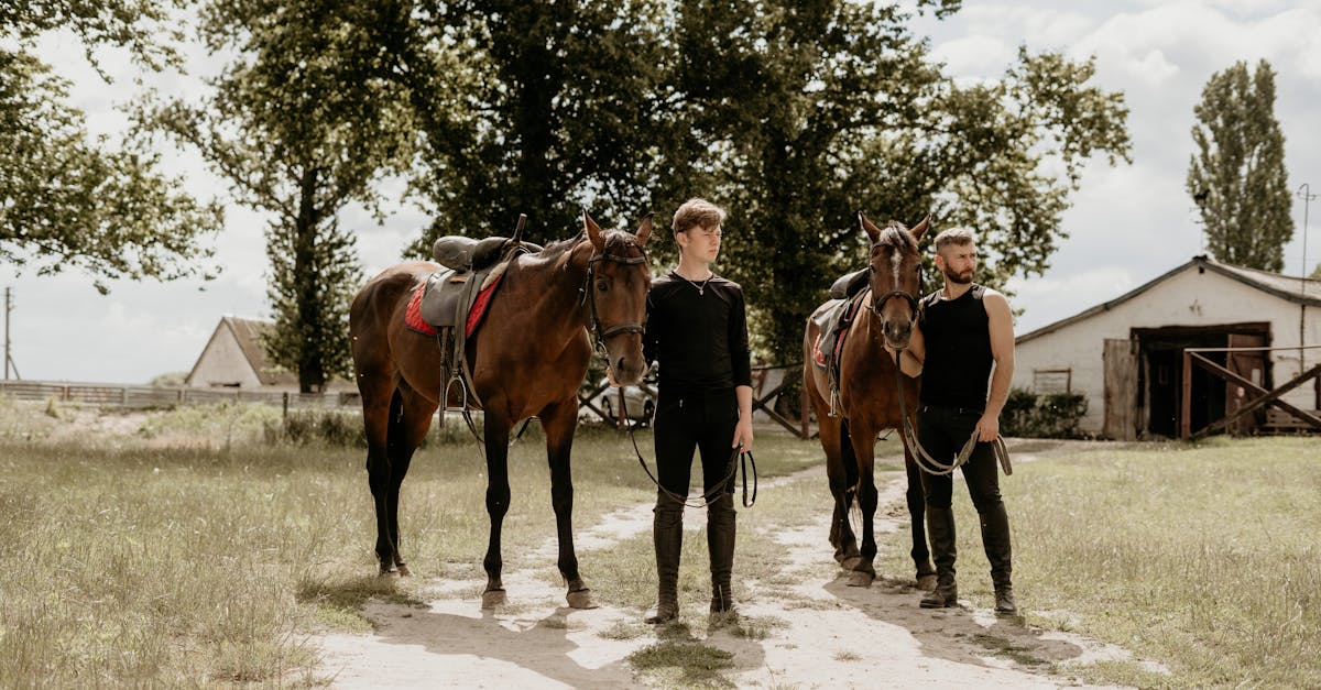 découvrez l'artisanat traditionnel des selliers : des selles et accessoires en cuir faits main pour votre confort et style équestre.