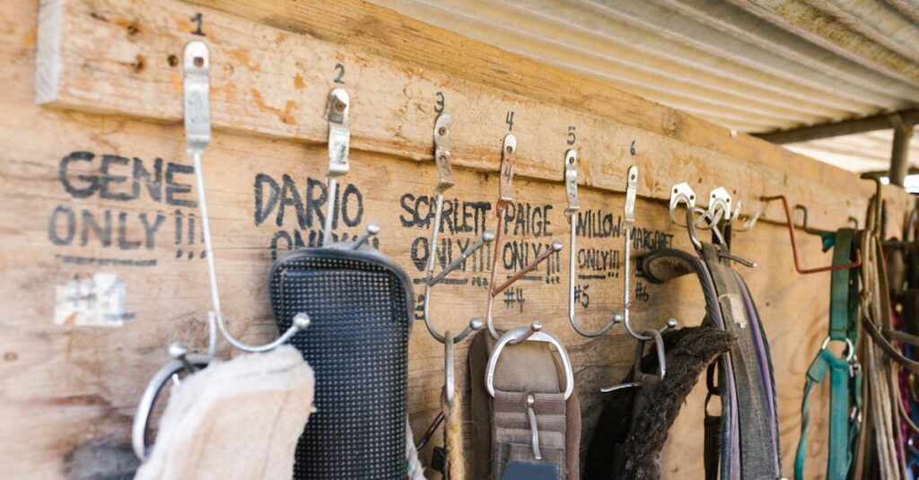 Le monde des artisans selliers et sellières découvrez notre gamme de selliers experts, offrant des selles de qualité supérieure pour le confort et la performance de votre cheval.