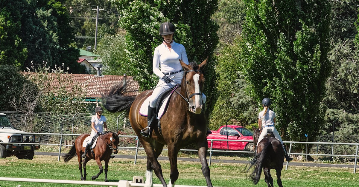 découvrez l'art du travail du cuir avec nos saddlers experts, spécialisés dans la confection et la réparation de selles de qualité pour chevaux, alliant tradition et savoir-faire.