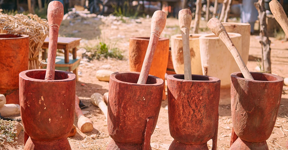 découvrez le fonctionnement de la sci (société civile immobilière) et du cfe (centre de formalités des entreprises) pour simplifier la création et la gestion de votre entreprise.