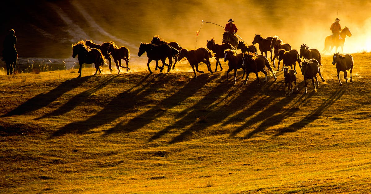 découvrez nos contrats saisonniers flexibles, adaptés à vos besoins temporaires pour une gestion optimale de vos ressources pendant les périodes clés.