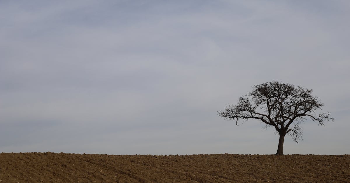 contrat saisonnier : une solution flexible pour vos besoins temporaires en main-d'œuvre, adaptée aux fluctuations de votre activité saisonnière.
