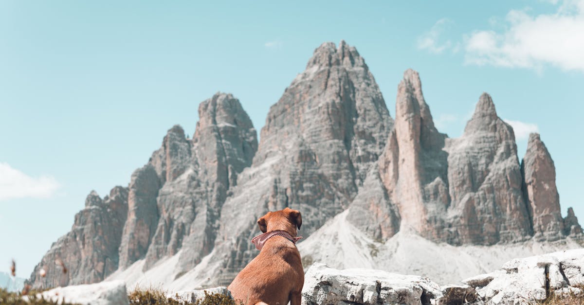 découvrez tout ce qu'il faut savoir sur l'indemnité de déplacement : conditions, calcul, conseils pour optimiser vos frais de voyage professionnels et personnels.