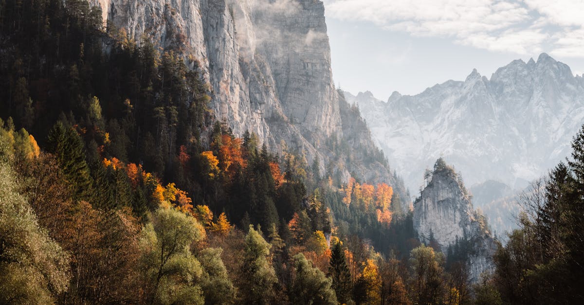 découvrez tout ce qu'il faut savoir sur l'indemnité de déplacement : définition, conditions, calcul et conseils pour optimiser vos frais de voyage professionnels ou personnels.