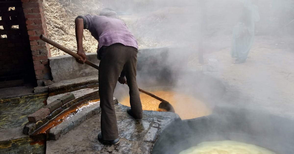 découvrez le régime de tva pour les micro-entrepreneurs : conditions, seuils, et obligations fiscales simplifiées pour gérer efficacement votre activité.