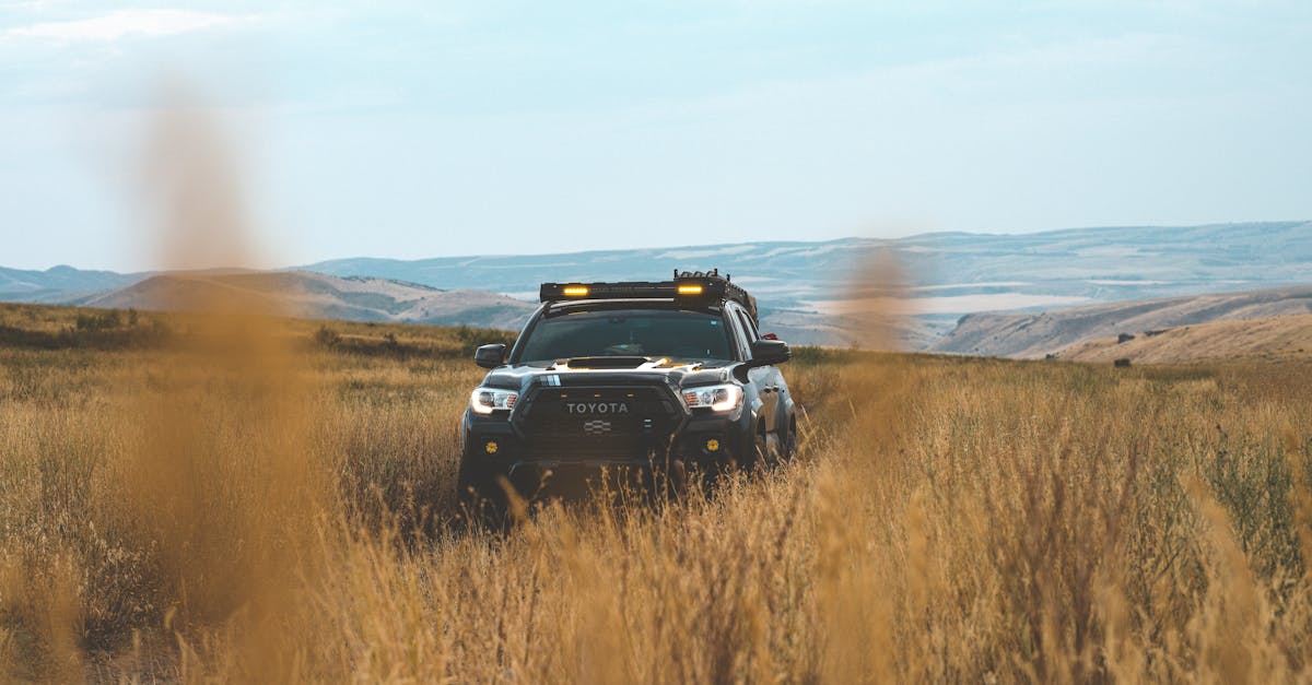 découvrez le régime de tva applicable aux micro-entrepreneurs, ses règles, seuils d'exonération et obligations déclaratives pour gérer efficacement votre activité.