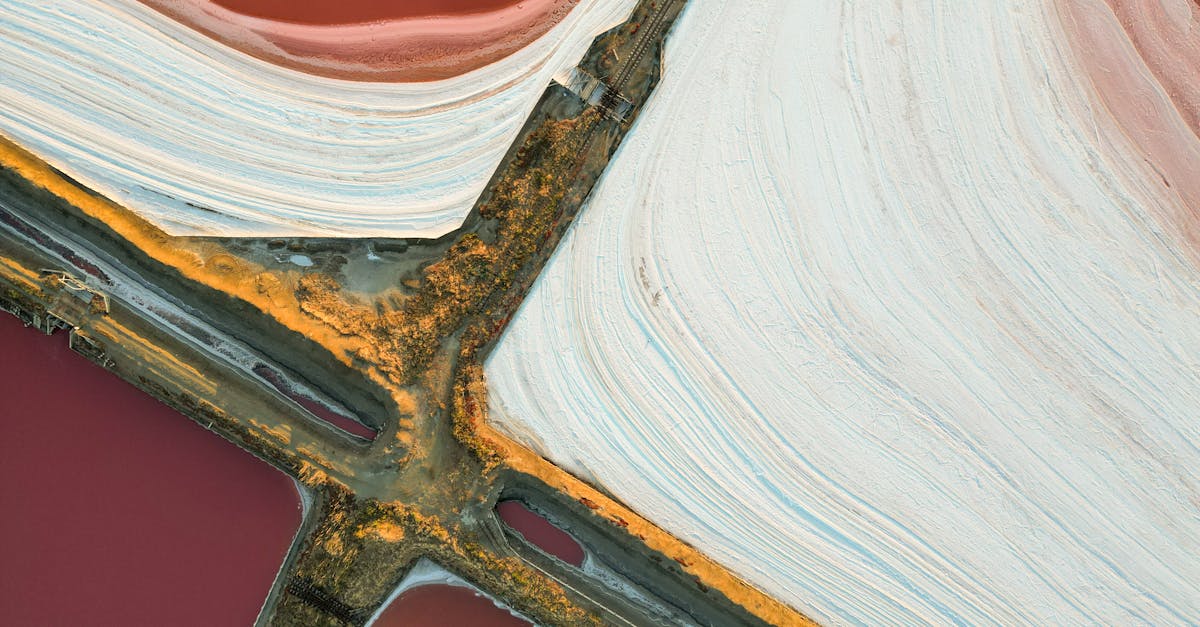 découvrez tout sur l'aquaculture : techniques, avantages, enjeux et innovations pour une production durable de poissons et fruits de mer.