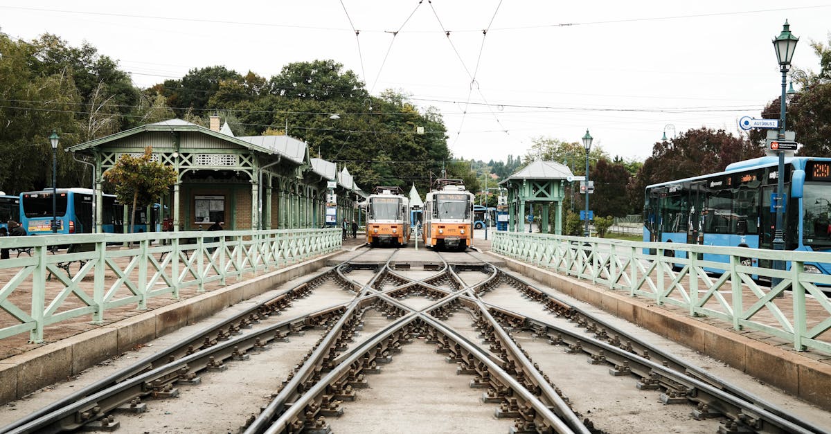 découvrez le métier de chef d'orchestre : rôle, responsabilités et compétences essentielles pour diriger un ensemble musical avec passion et précision.