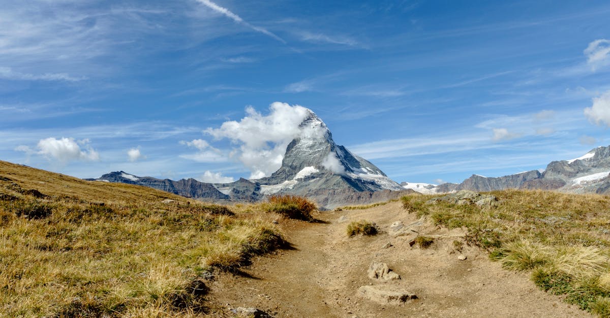 découvrez la différence entre concurrents directs et indirects, et comment identifier leurs impacts sur votre marché pour mieux positionner votre entreprise.