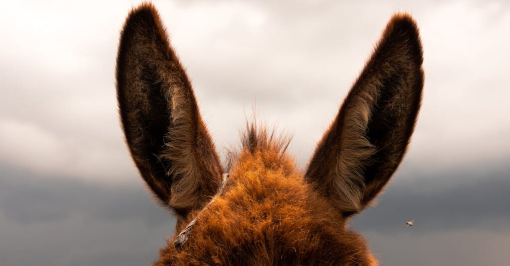 découvrez ce qu'est une audience disciplinaire, son déroulement, et les droits des personnes concernées lors de ce processus.