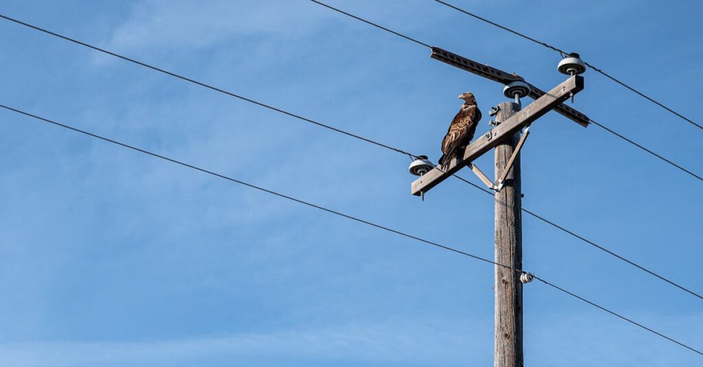 Découverte du métier de technicien en lignes haute tension technicien de ligne haute tension spécialisé dans l'installation, la maintenance et la réparation des réseaux électriques à haute tension pour assurer une alimentation sécurisée et fiable.