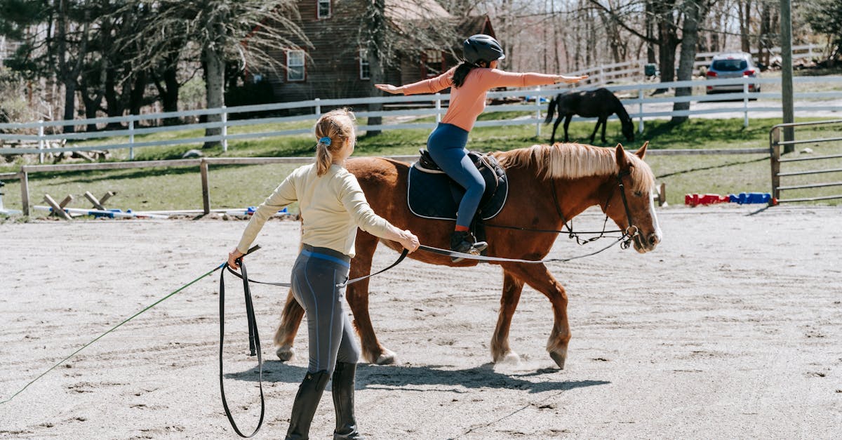découvrez un entraîneur de chevaux professionnel dédié à l'amélioration des performances et au bien-être de votre cheval, alliant expertise et bienveillance.