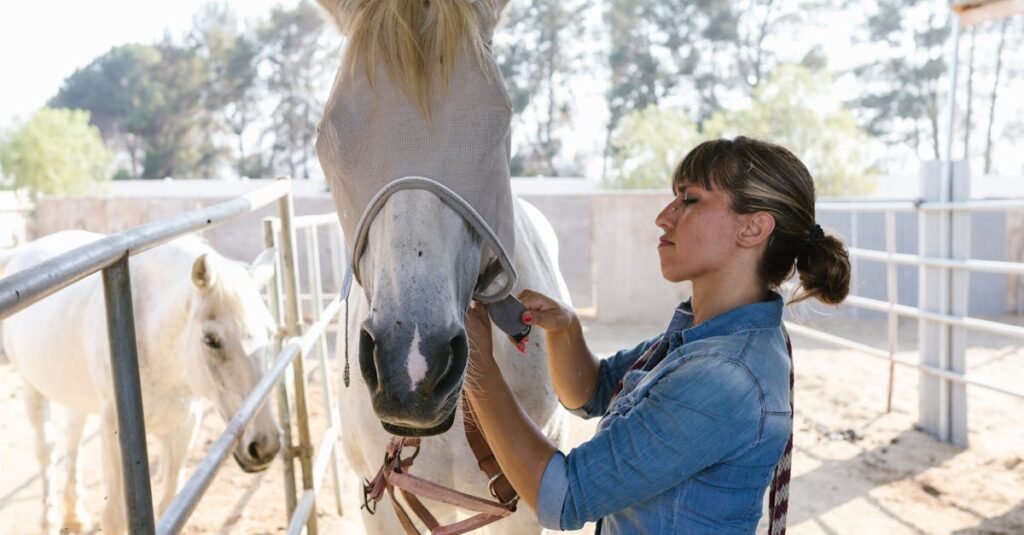 Le métier passionnant d’entraîneur ou d’entraîneuse de chevaux découvrez les compétences et méthodes d'un entraîneur de chevaux professionnel pour améliorer la performance et le bien-être de votre cheval.