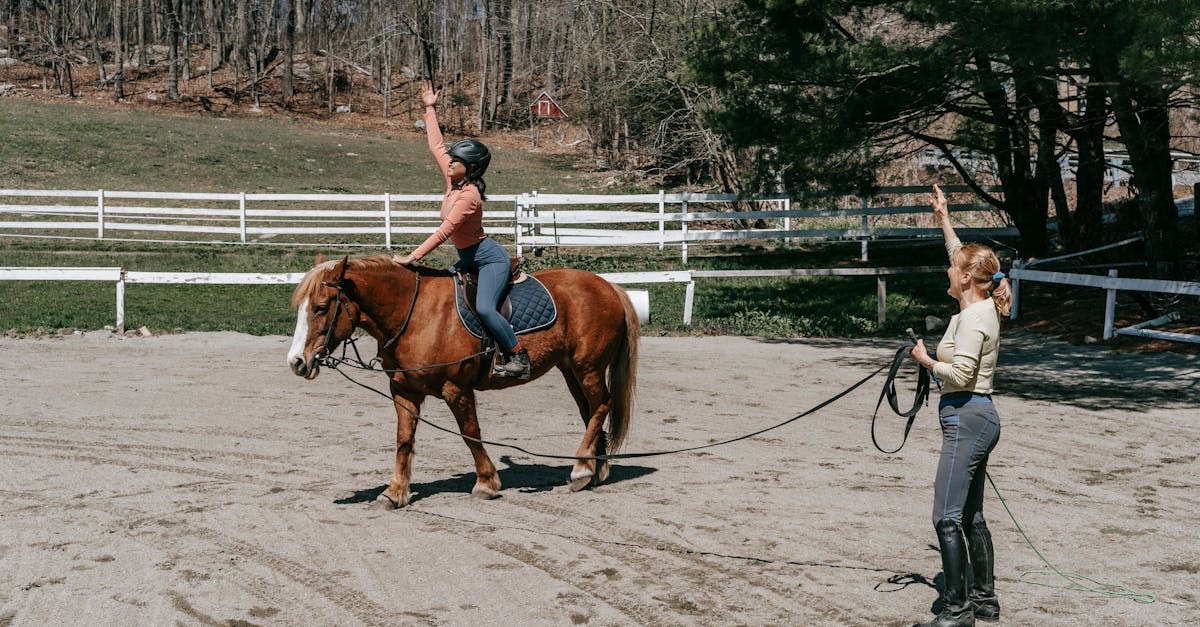 formateur de chevaux professionnel spécialisé dans l'entraînement, le dressage et le comportement équin pour améliorer la performance et la relation avec votre cheval.