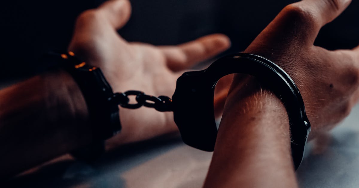 consultez nos mentions légales pour comprendre les informations juridiques et les conditions d'utilisation de notre site.