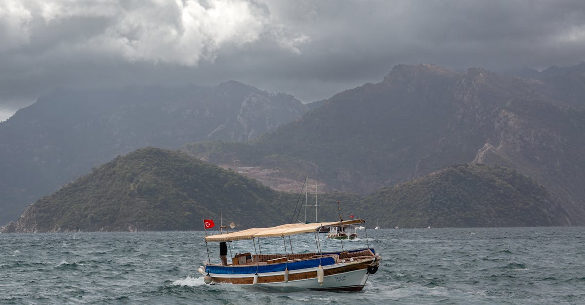 découvrez les mystères de l'exploration marine, des profondeurs océaniques aux récifs coralliens, et plongez dans un univers fascinant peuplé de créatures marines uniques.