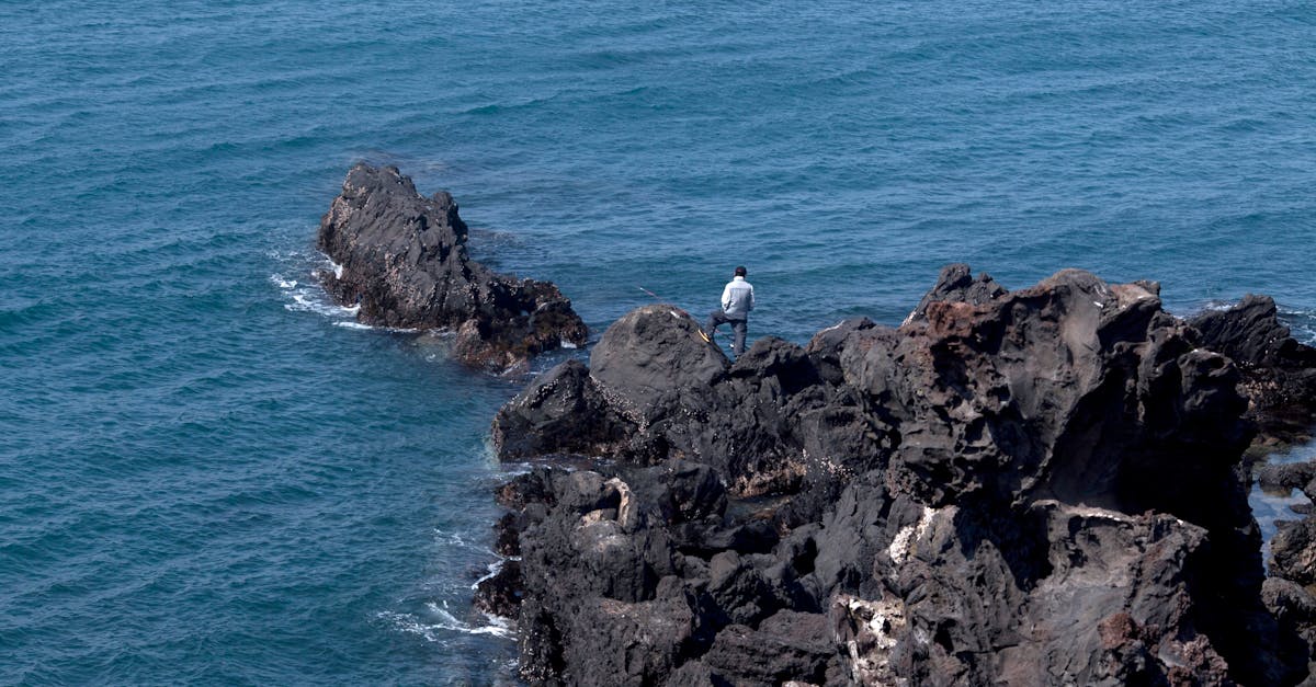découvrez les mystères de l'exploration marine : plongez au cœur des océans pour étudier la faune, la flore et les fonds marins, et contribuer à la protection de notre planète bleue.