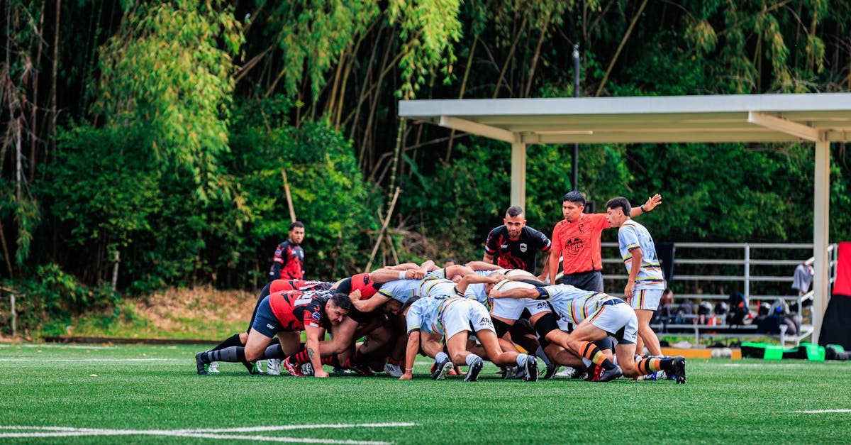 découvrez le rôle essentiel de l'arbitre dans le sport, garantissant le respect des règles et l'équité des compétitions.