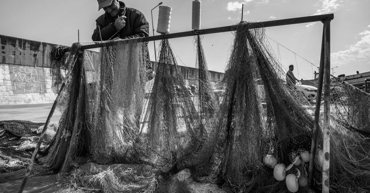 technicien en accès par cordes spécialisé dans les interventions en hauteur, offrant des services sécurisés et efficaces pour l'inspection, la maintenance et les réparations difficiles d'accès.
