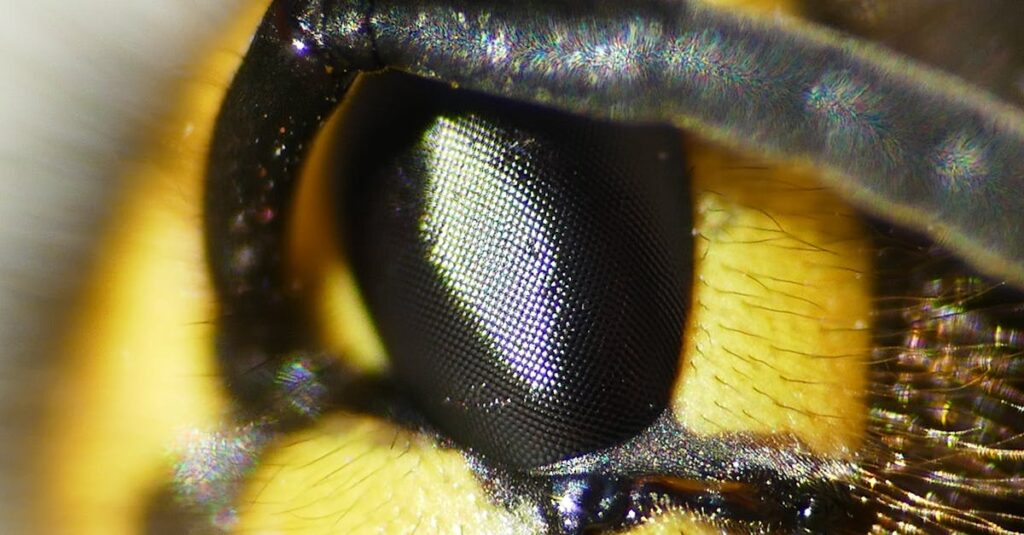 Le rôle du médiateur et de la médiatrice scientifique dans la transmission des savoirs découvrez la médiation scientifique, un processus qui facilite la communication et la compréhension entre les chercheurs, les décideurs et le grand public.