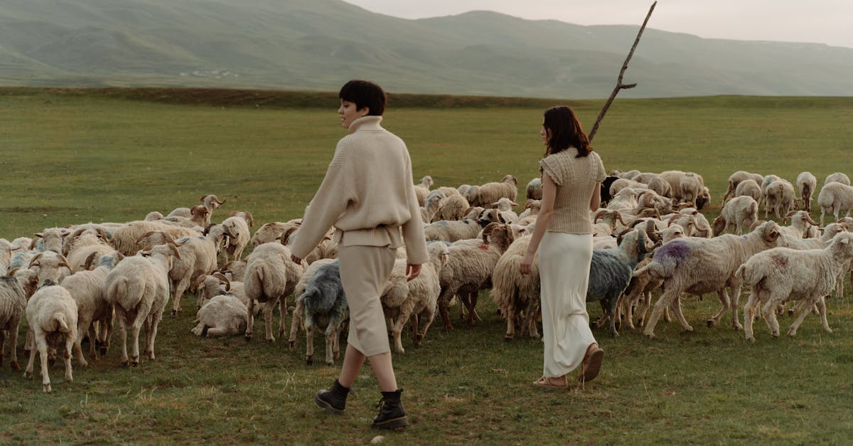 découvrez tout sur les bergers : leur rôle, leurs méthodes de travail avec les troupeaux et leur importance dans l'agriculture traditionnelle.