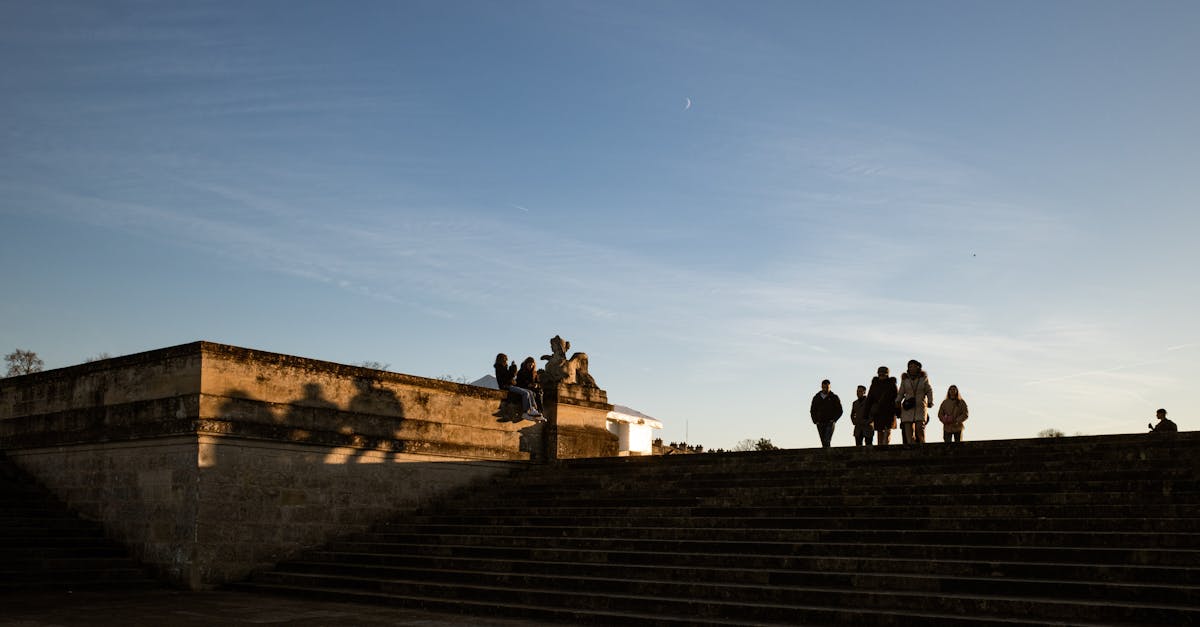 découvrez tout sur les cotisations sociales en france : fonctionnement, taux, organismes collecteurs et démarches pour les employeurs et travailleurs.